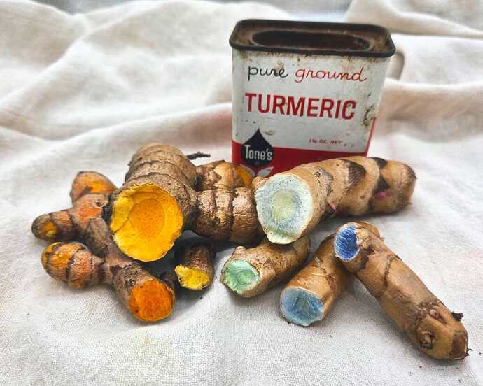 2025 rhizome harvest 5