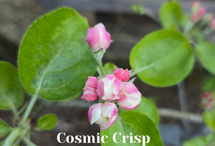 20260409_080314 (2026-04-09T18_54_41.652)