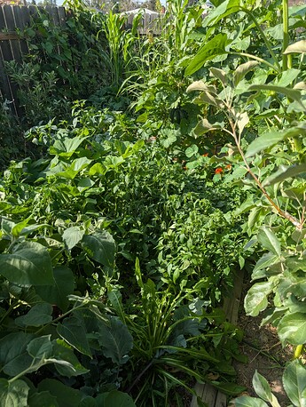 PXL_20250814_233528175