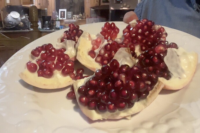 Photo on 10-9-25 at 7.41 PM #2