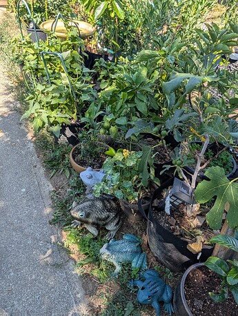 PXL_20250724_221414573