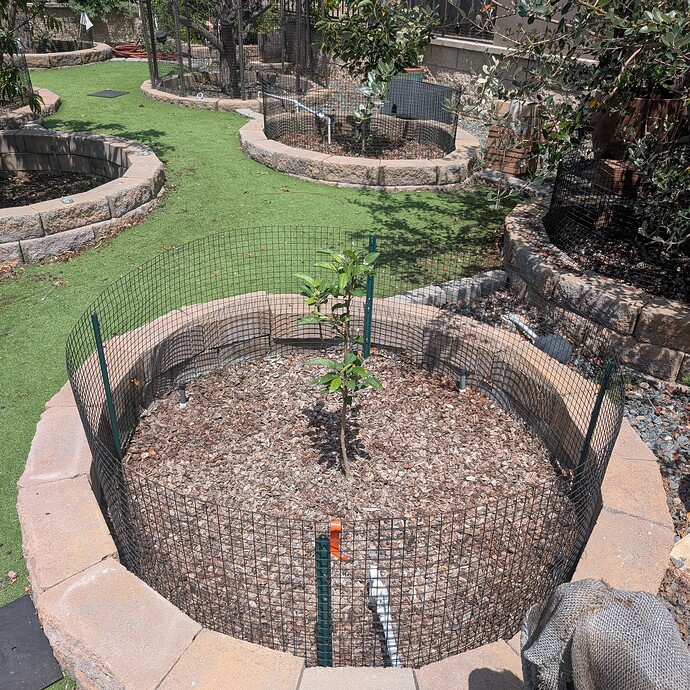 PXL_20250622_181722437