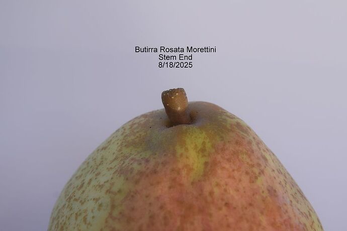 BRM STEM 8-18-2025RS