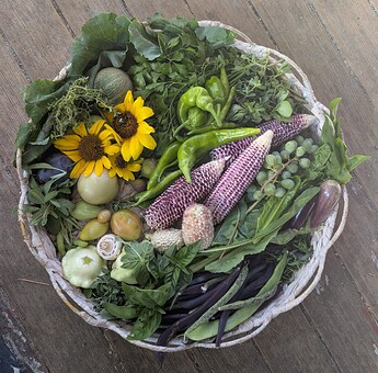 PXL_20250819_000629018