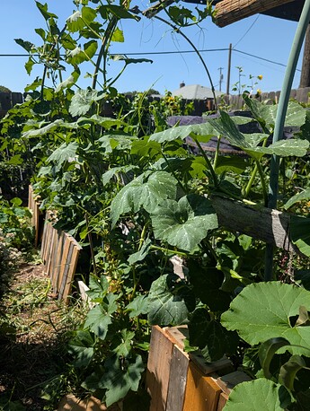 PXL_20250724_213356071