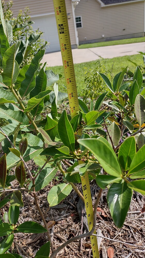 IMG_20250707_094147825_HDR