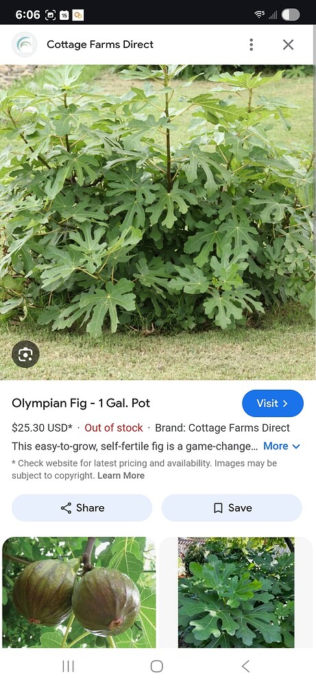 Screenshot_20250715_180652_Chrome