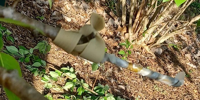 20260402_180605_Cropped