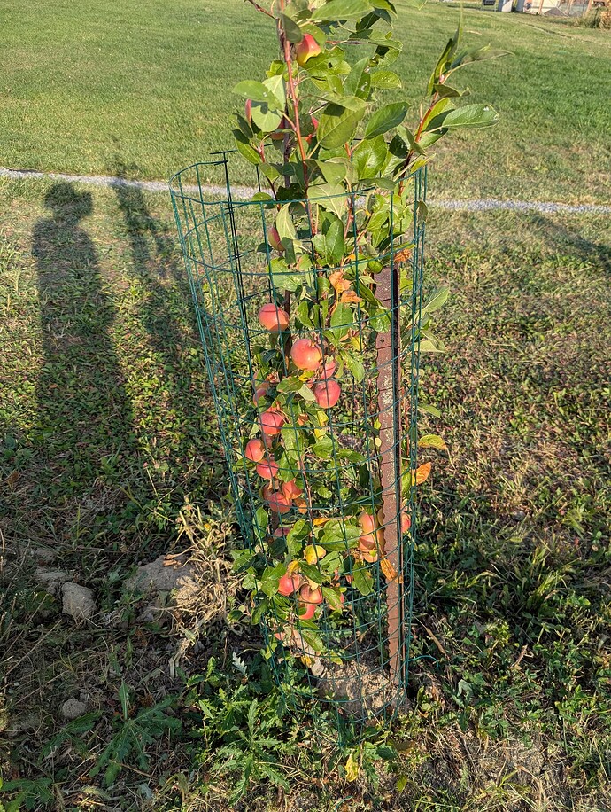 PXL_20250920_215631720