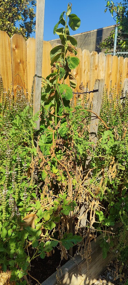 IMG_20251004_1434131