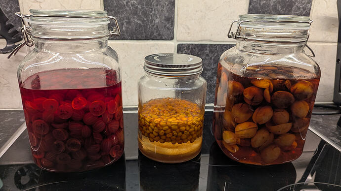 PXL_20251227_184221428.MP