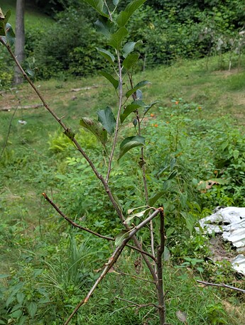 PXL_20250809_222425676