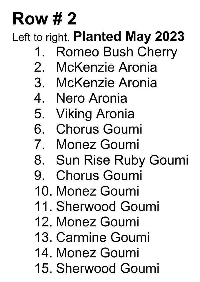 Screenshot_20260331-064618