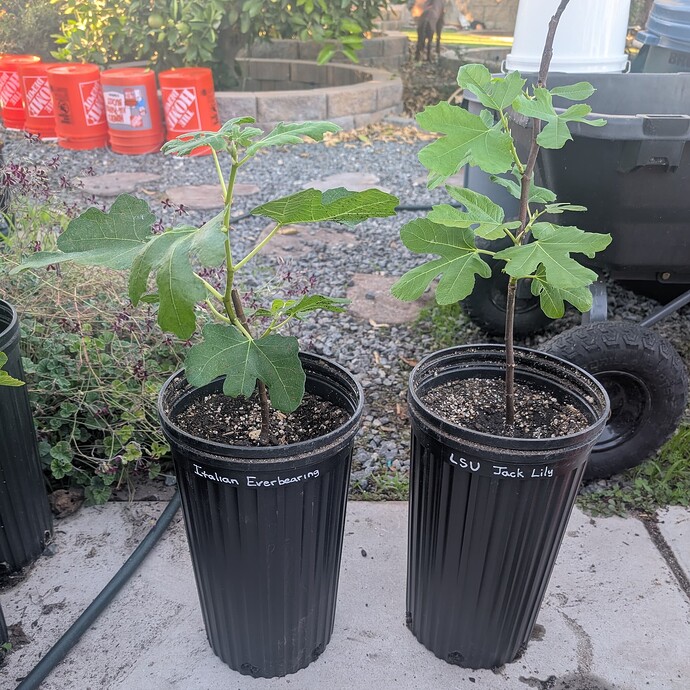 PXL_20251020_001546391