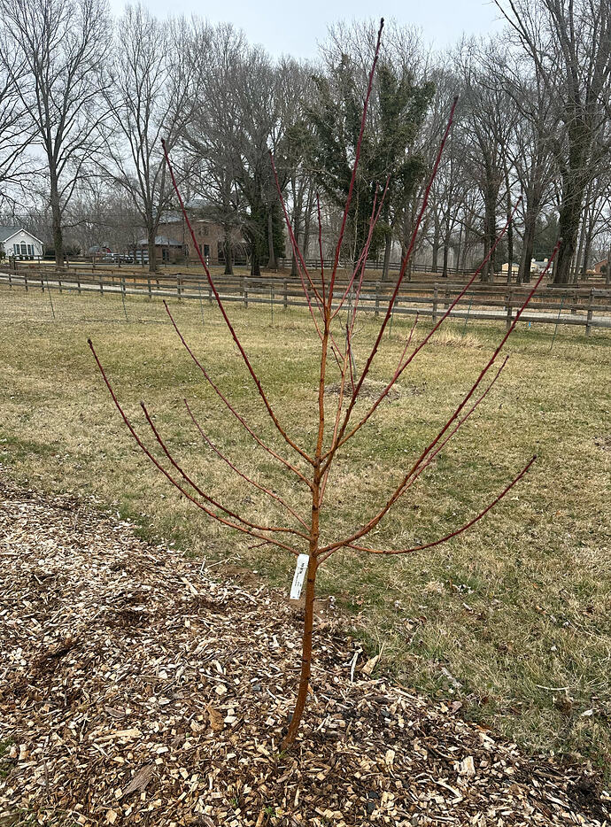 Screen Shot 2026-03-06 at 4.00.10 PM