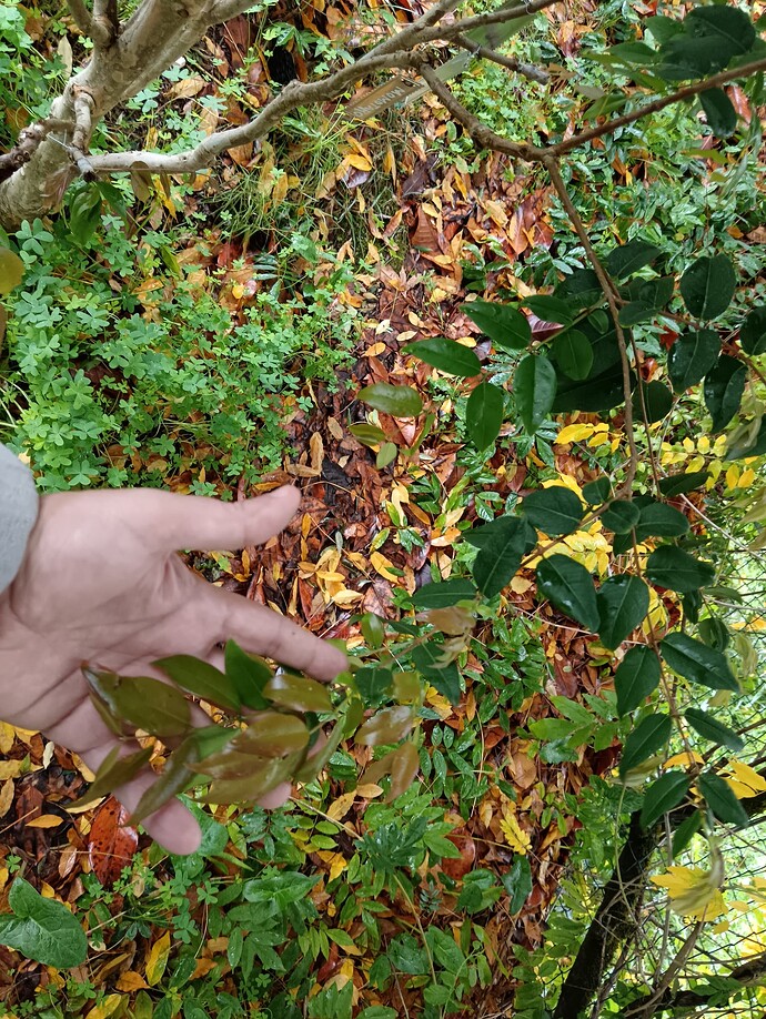 IMG_20251114_120144_edit_834898130404994