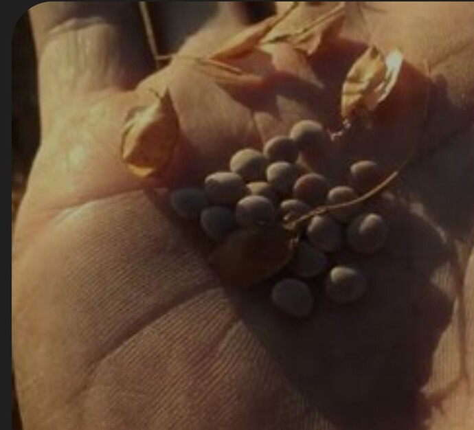 Screenshot_20251015_011221_Samsung Internet