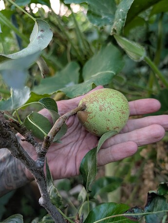 PXL_20250914_014049402