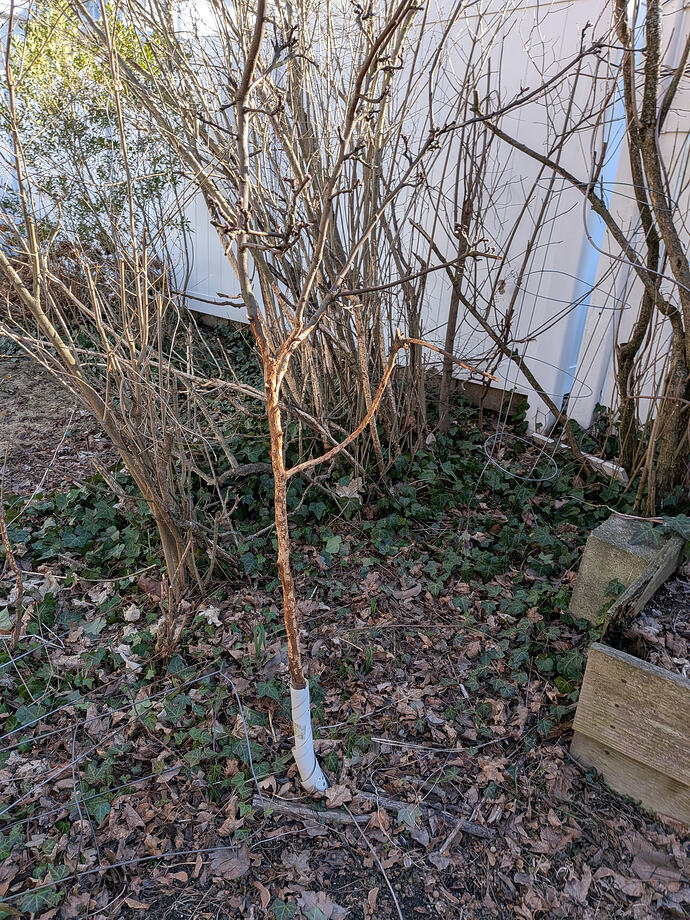 WhatsApp Image 2026-03-25 at 16.32.02