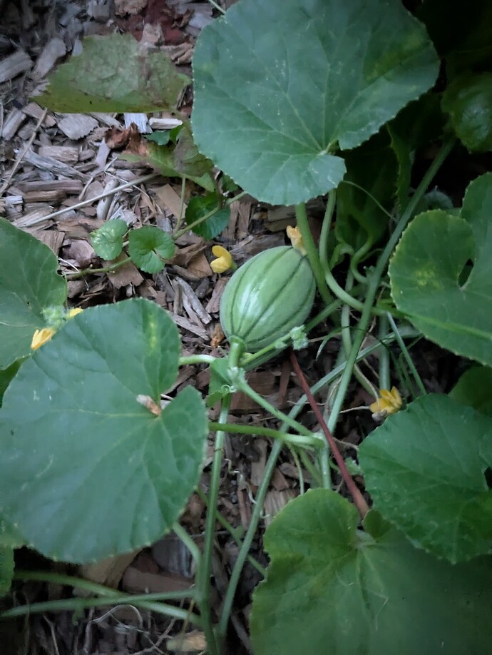 PXL_20250727_003349456