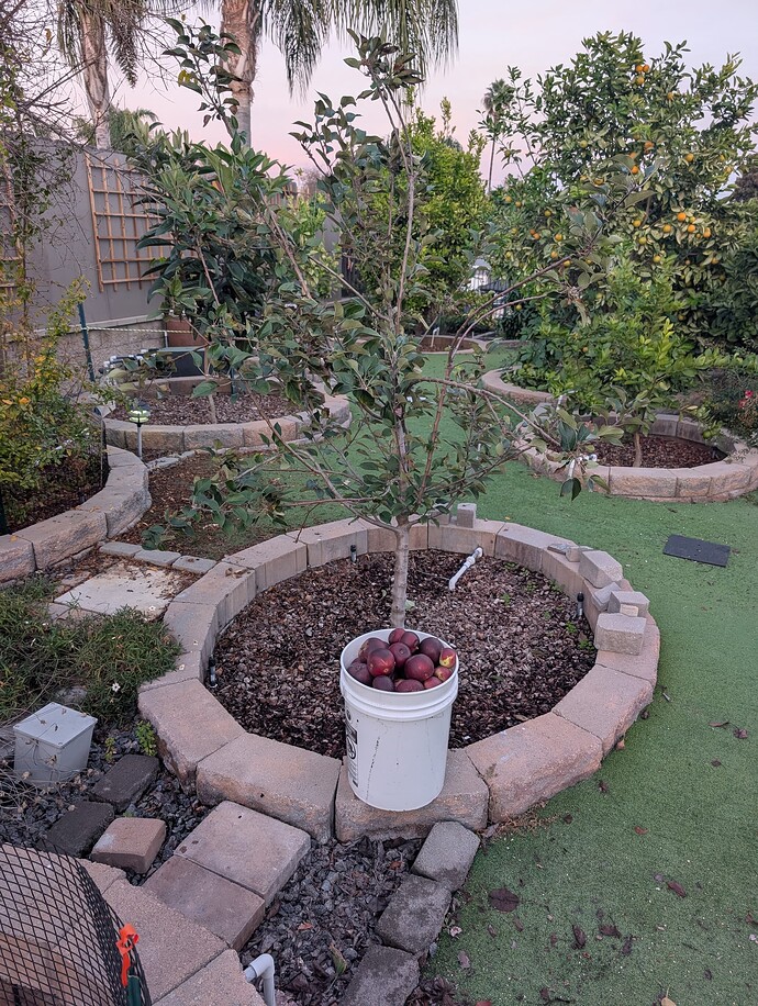 PXL_20251201_003937760