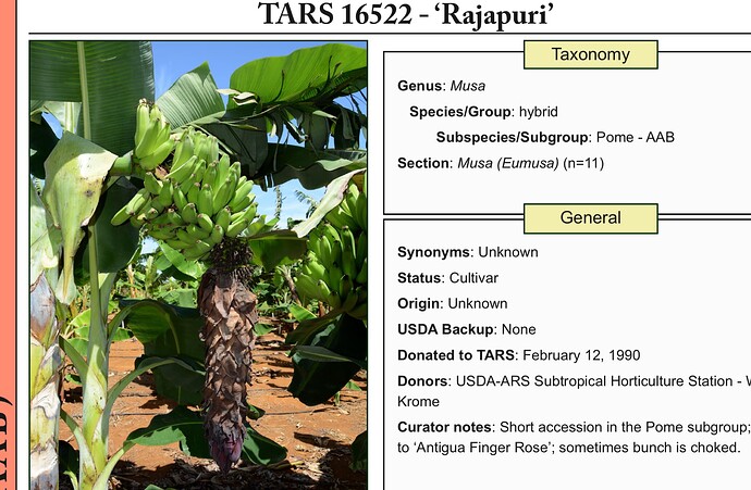 Screen Shot 2025-09-25 at 9.12.46 AM