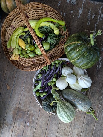 PXL_20251002_192856862