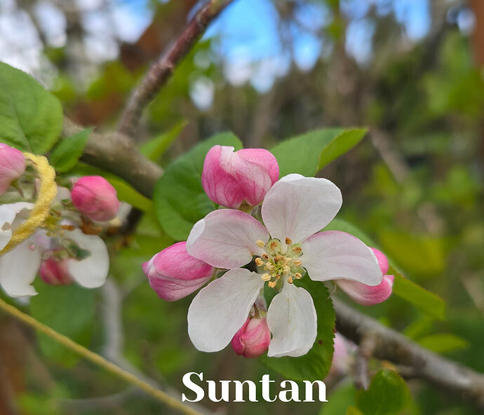 20260402_104407 (2026-04-04T14_27_03.483)