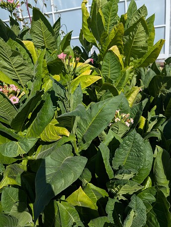 PXL_20250724_220927161