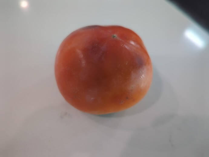 17578799179898685677024496769525