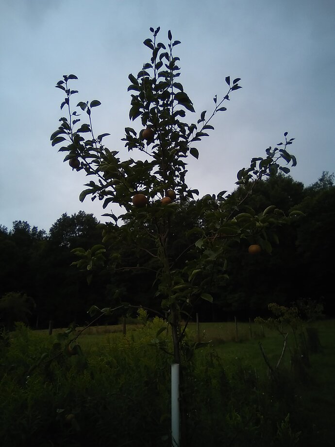 textPlus_725_2026_45235