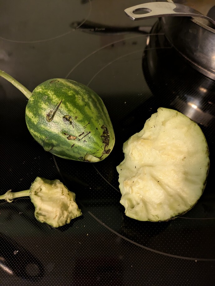 PXL_20250728_235700509