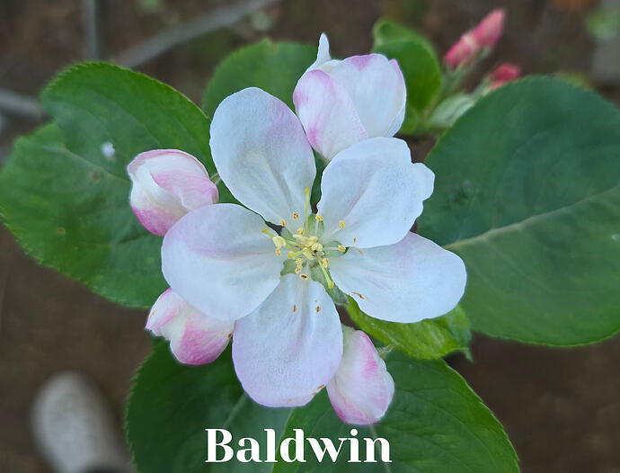 20260409_080410 (2026-04-09T18_56_24.718)