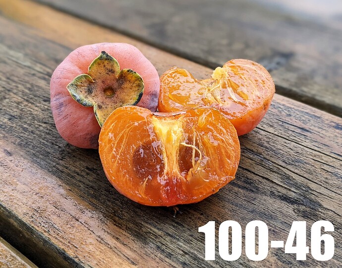 100-46_2025
