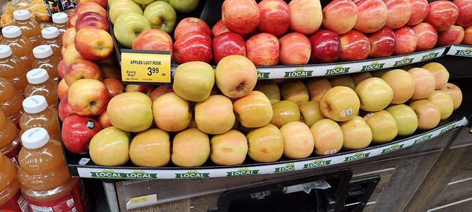 IMG_20251021_175858954