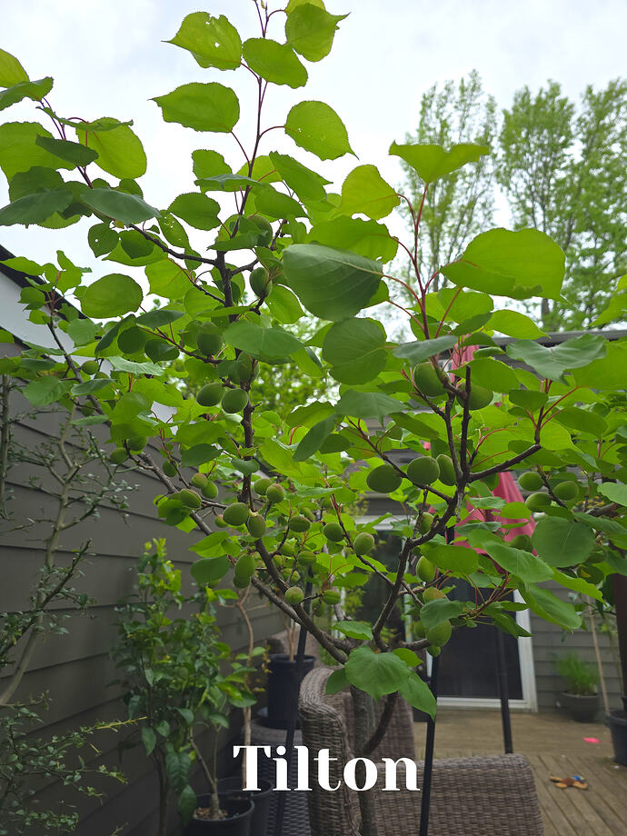 20260423_171616 (2026-04-27T20_19_35.738) (2026-04-27T20_20_42.595)