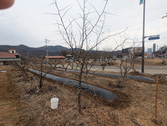 PXL_20260301_043643123.MP