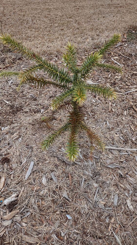 IMG_20260211_135430595_HDR