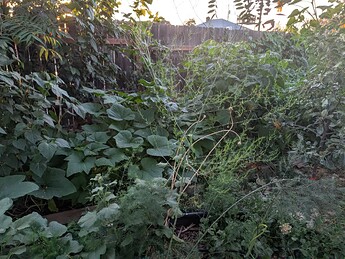 PXL_20250825_022421707