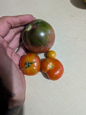 PXL_20250914_020718931