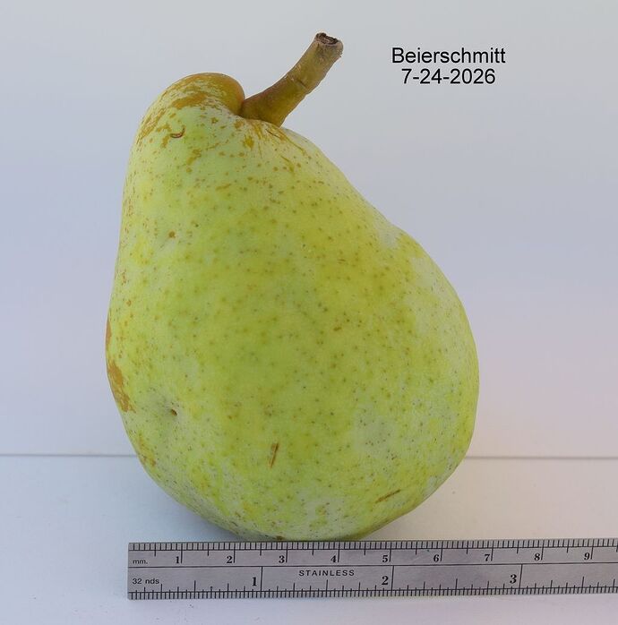 Beierschmitt 7-24-2026 2 RS