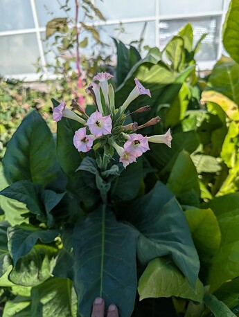 PXL_20250718_000010748