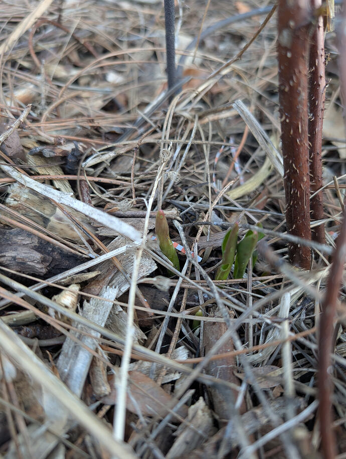 PXL_20260301_004310102