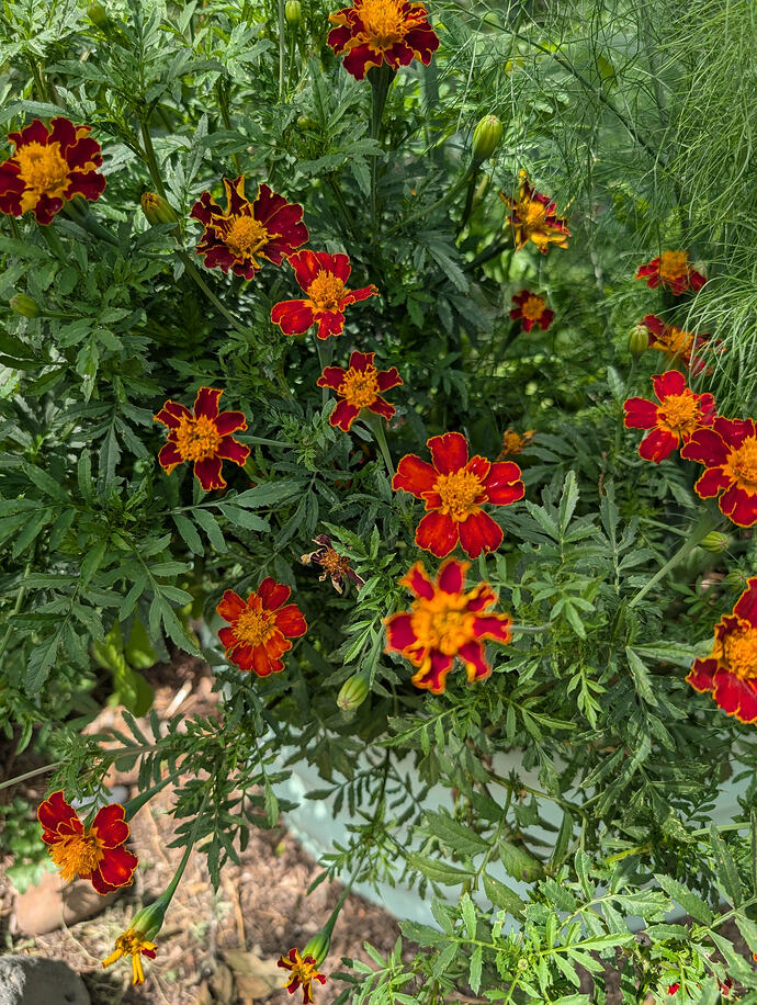 PXL_20260624_185556167