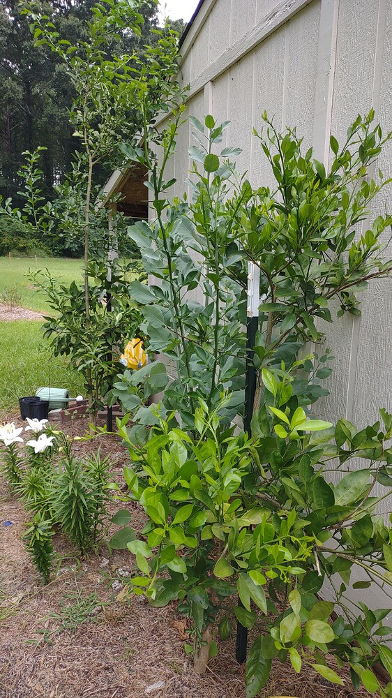 IMG_20250702_120204982