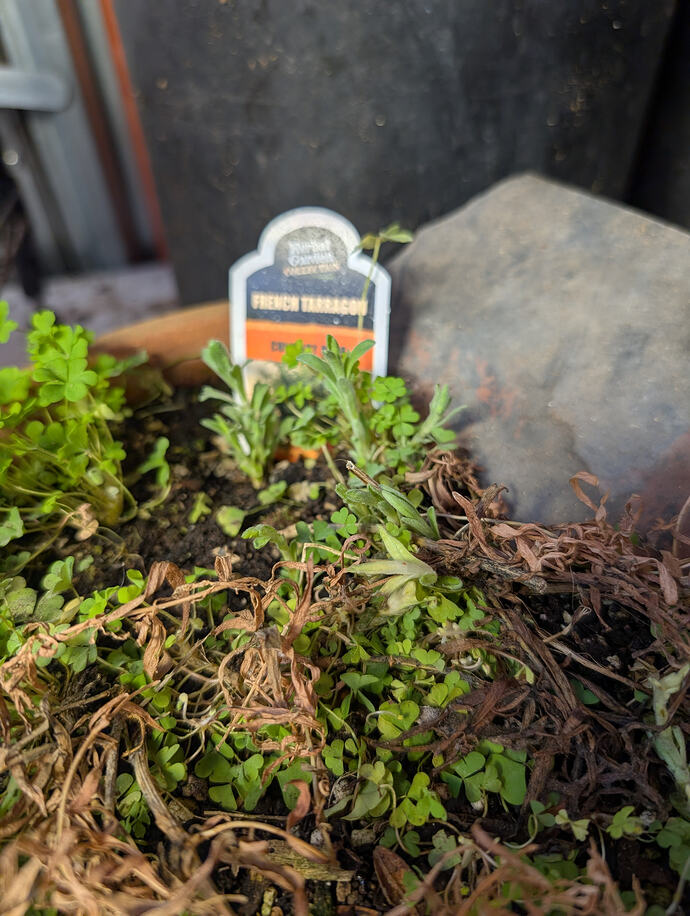 PXL_20260213_235942016