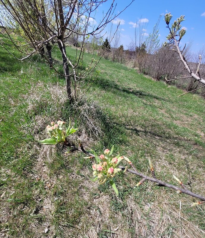 8a84870f704141aacc3fe213849d9c1e6998e33e_2_1380x1596