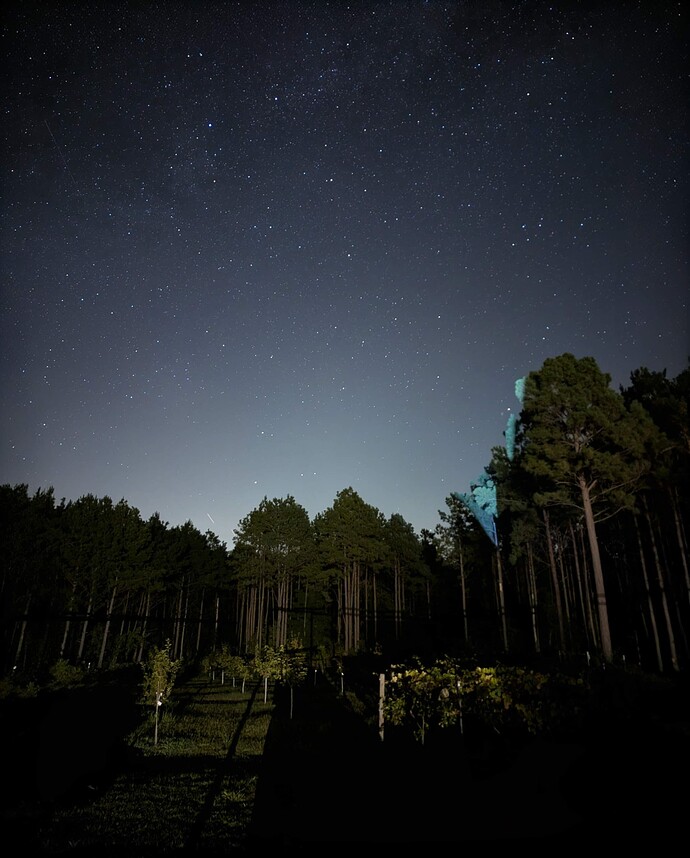 PXL_20250726_030252811.NIGHT~2