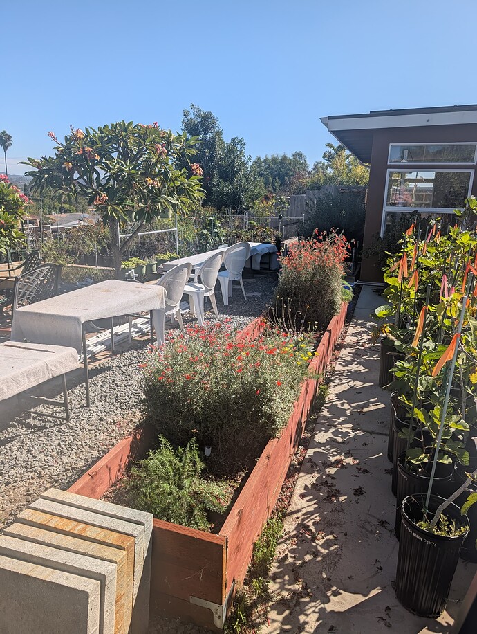 PXL_20251011_205507818