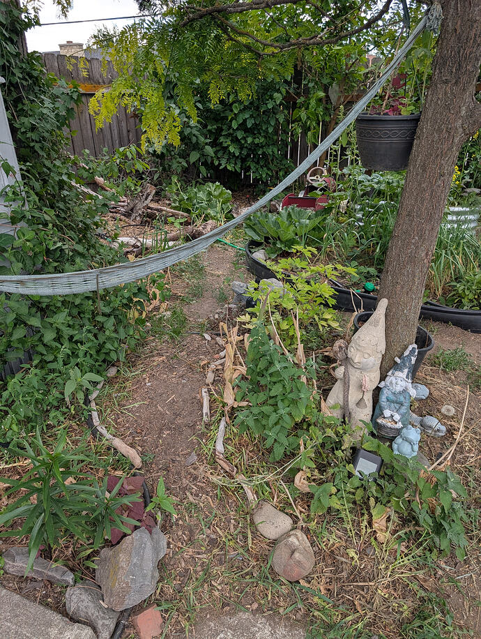 PXL_20260612_220857300